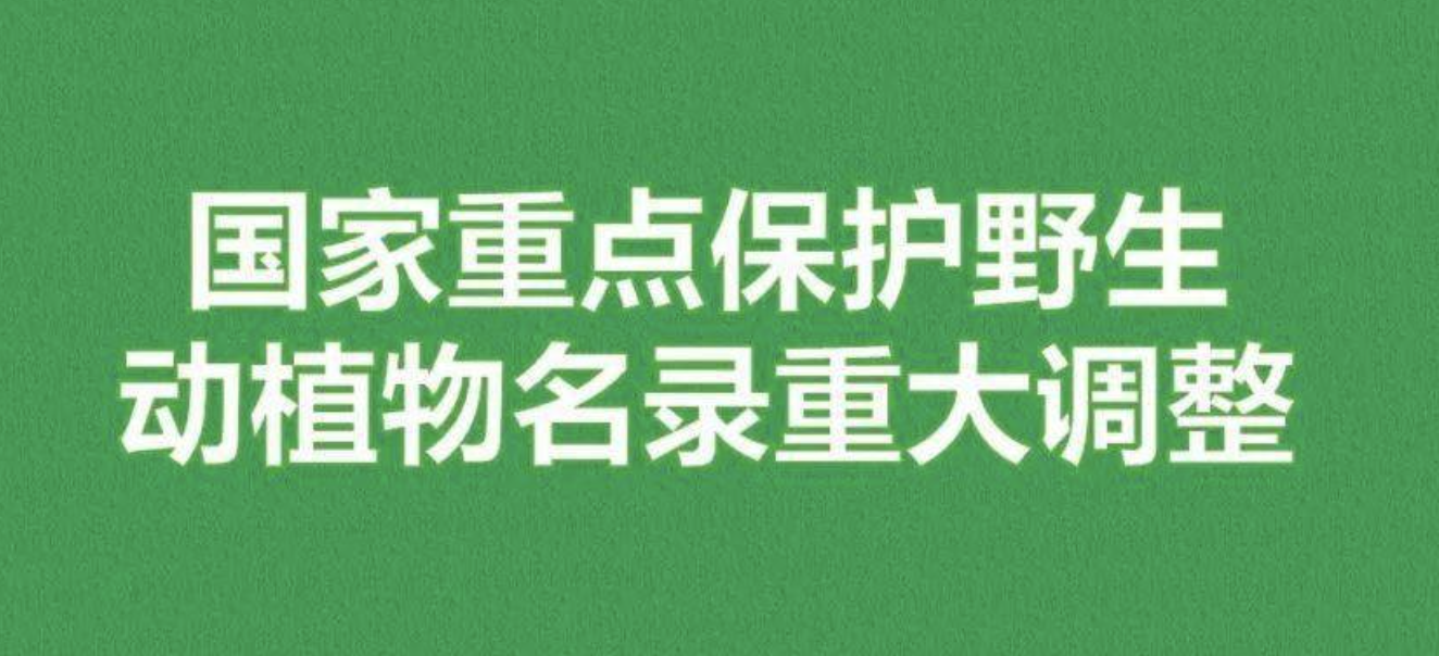 重磅！新版國(guó)家重點(diǎn)保護(hù)野生植物名錄公布，58種/屬列入一級(jí)保護(hù)，值得收藏